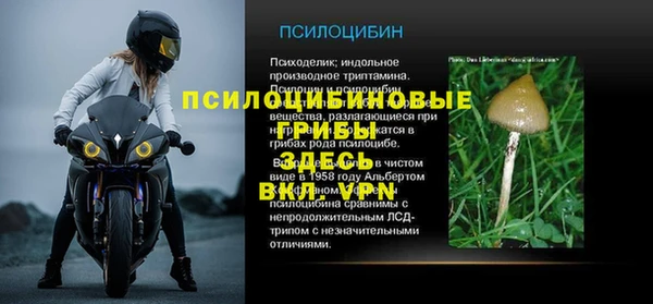 прущая мука Арсеньев
